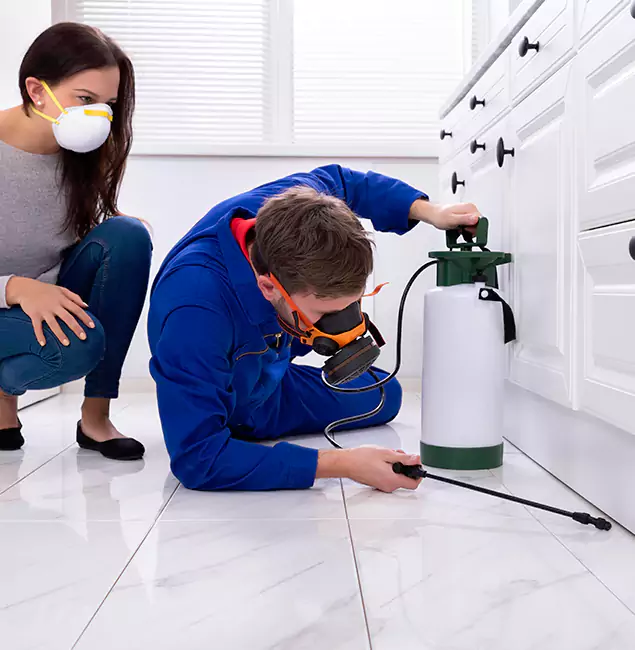 Why Choose Wood Termite Treatment by Maplewood Pest Control Pro in Maplewood, NJ?
