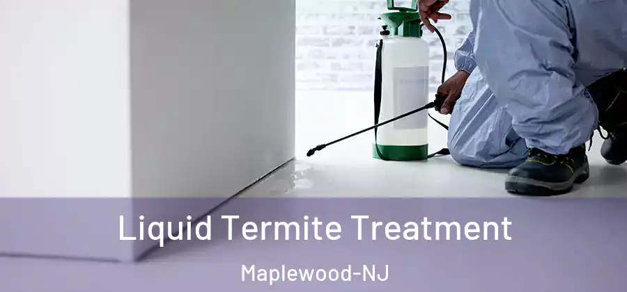 Liquid Termite Treatment Maplewood-NJ