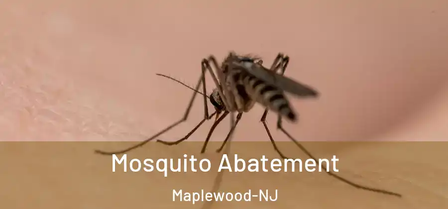  Mosquito Abatement Maplewood-NJ