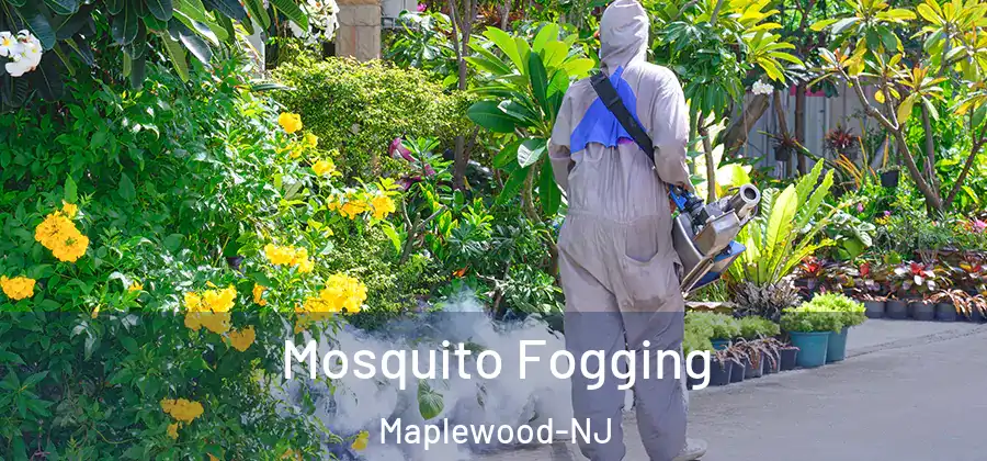 Mosquito Fogging Maplewood-NJ