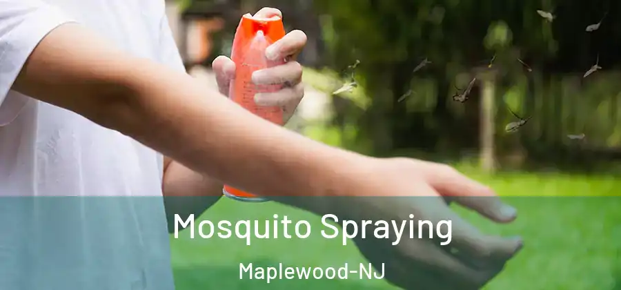Mosquito Spraying Maplewood-NJ