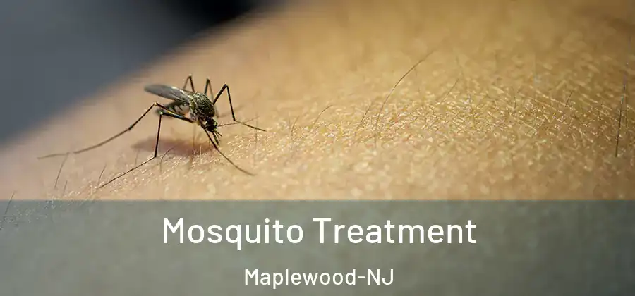 Mosquito Treatment Maplewood-NJ