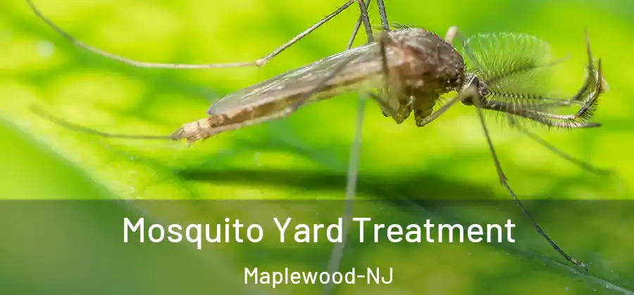 Mosquito Yard Treatment Maplewood-NJ