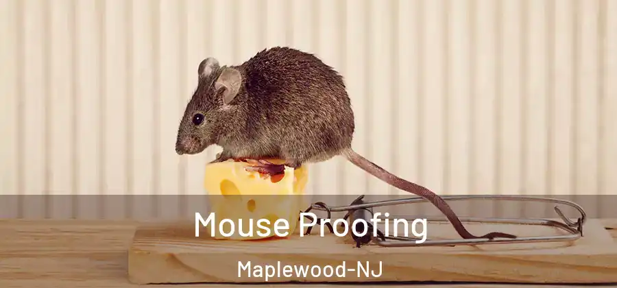 Mouse Proofing Maplewood-NJ