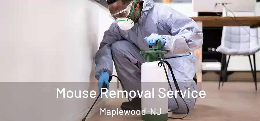Mouse Removal Service Maplewood-NJ