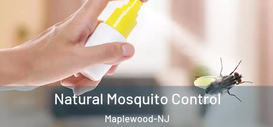 Natural Mosquito Control Maplewood-NJ