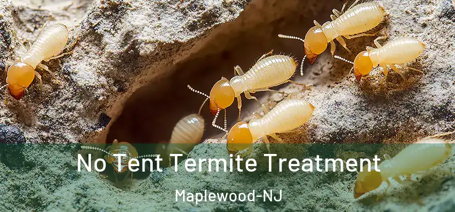 No Tent Termite Treatment Maplewood-NJ