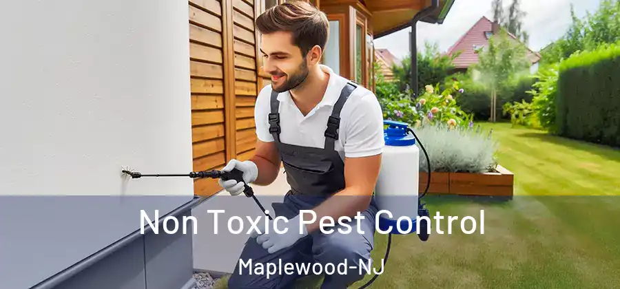 Non Toxic Pest Control Maplewood-NJ