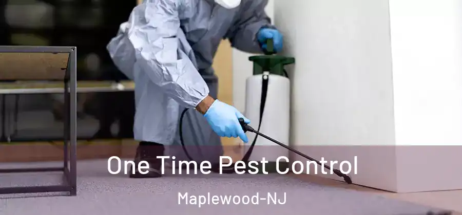 One Time Pest Control Maplewood-NJ