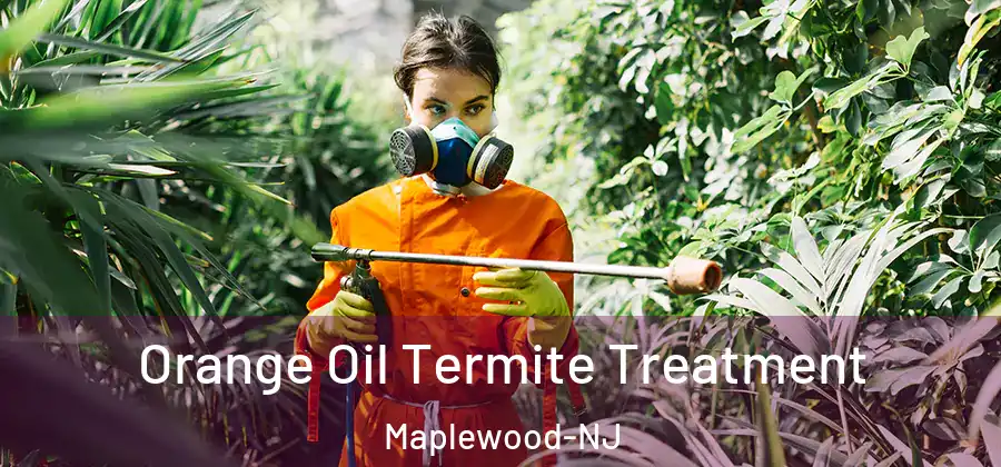 Orange Oil Termite Treatment Maplewood-NJ