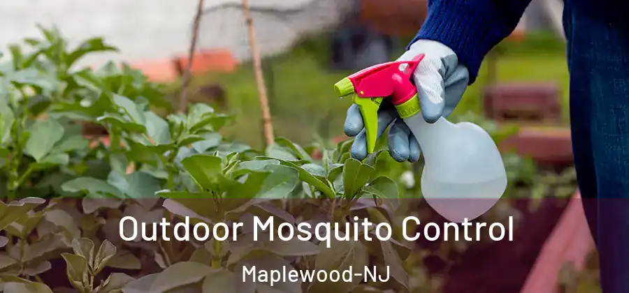  Outdoor Mosquito Control Maplewood-NJ
