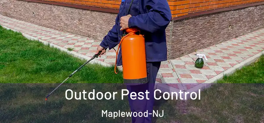 Outdoor Pest Control Maplewood-NJ