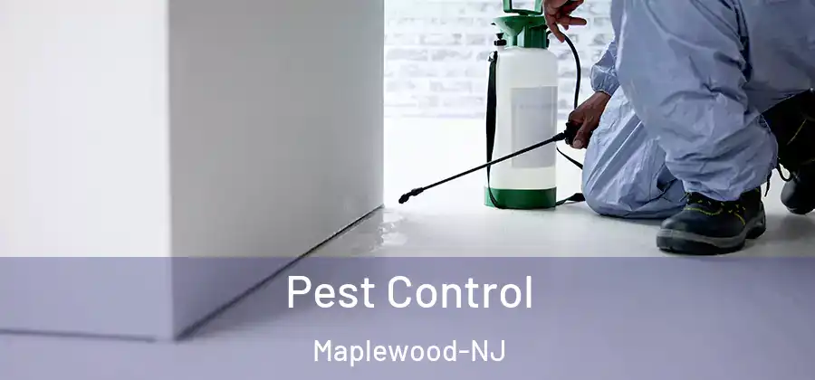 Pest Control Maplewood-NJ