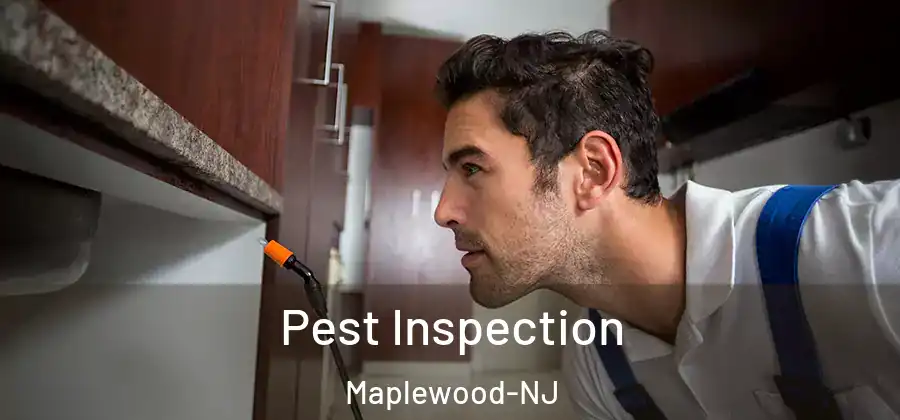 Pest Inspection Maplewood-NJ