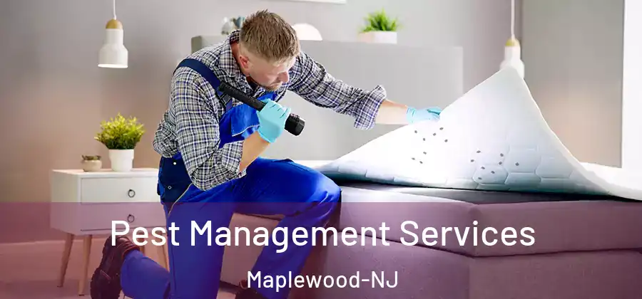 Pest Management Services Maplewood-NJ