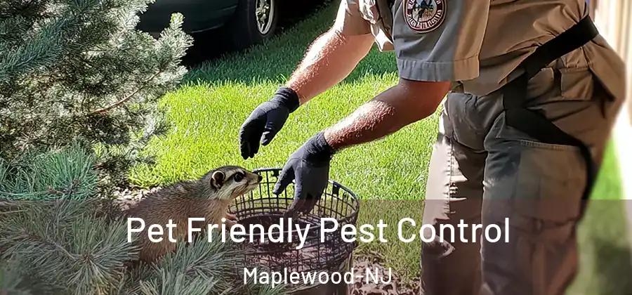  Pet Friendly Pest Control Maplewood-NJ