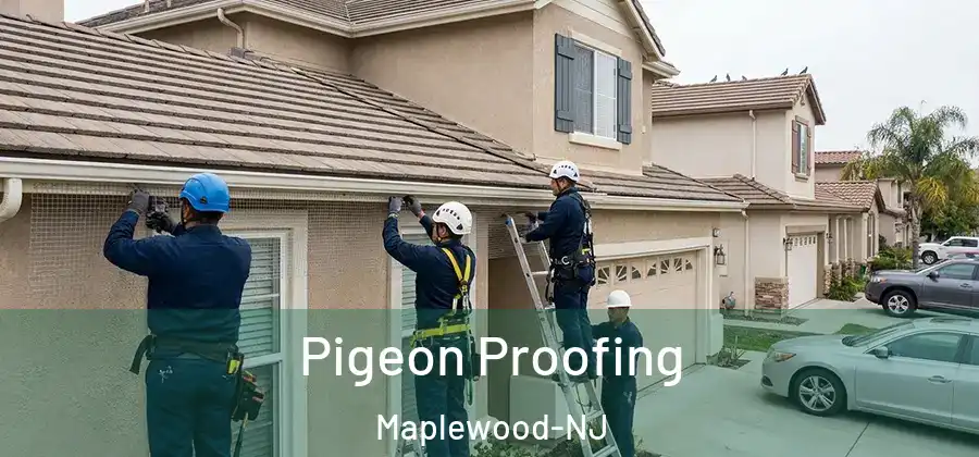 Pigeon Proofing Maplewood-NJ