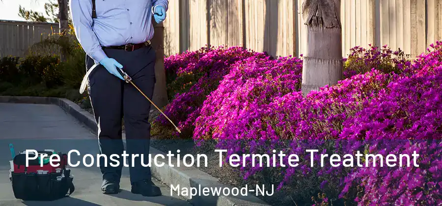  Pre Construction Termite Treatment Maplewood-NJ