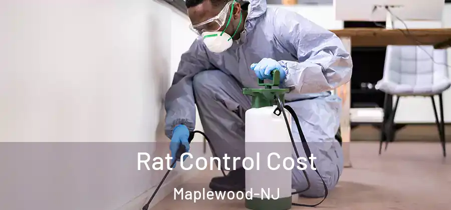  Rat Control Cost Maplewood-NJ