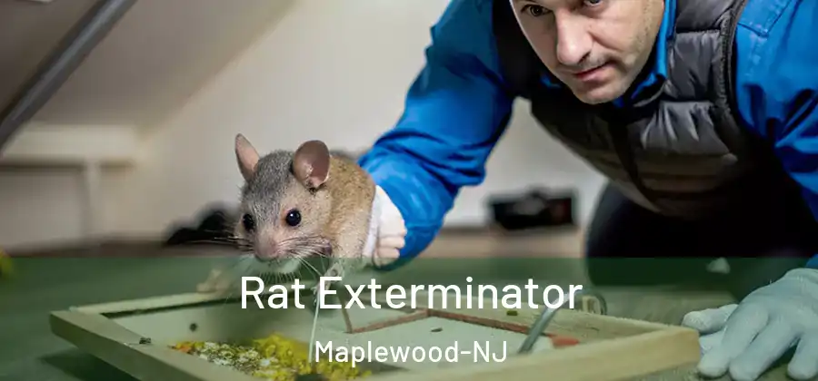  Rat Exterminator Maplewood-NJ
