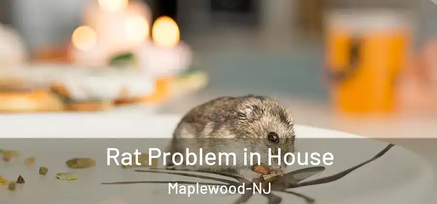 Rat Problem in House Maplewood-NJ