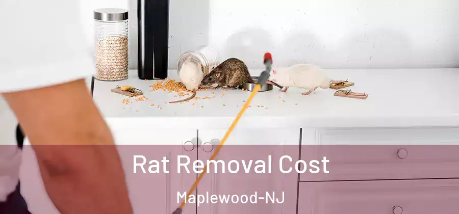  Rat Removal Cost Maplewood-NJ