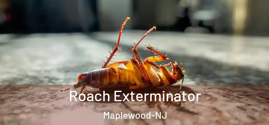 Roach Exterminator Maplewood-NJ