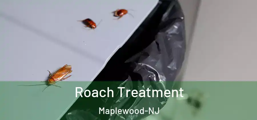  Roach Treatment Maplewood-NJ