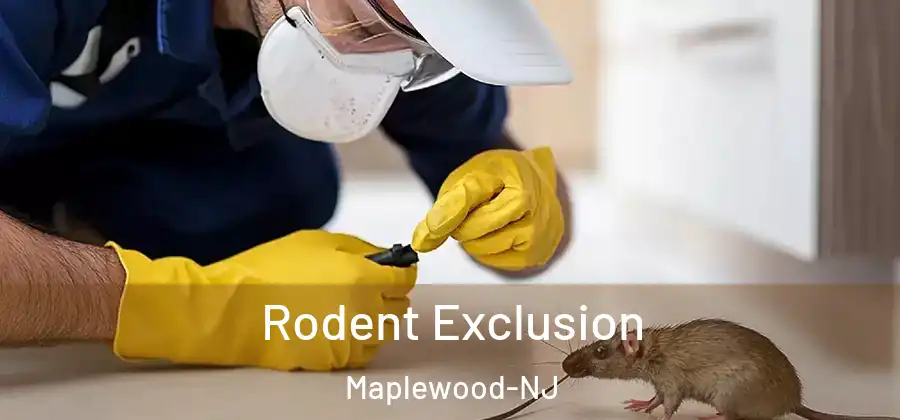  Rodent Exclusion Maplewood-NJ