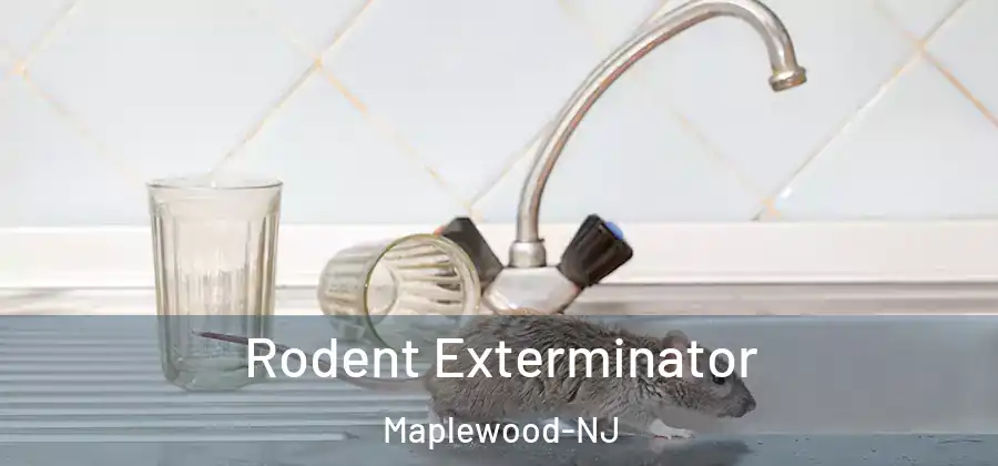 Rodent Exterminator Maplewood-NJ