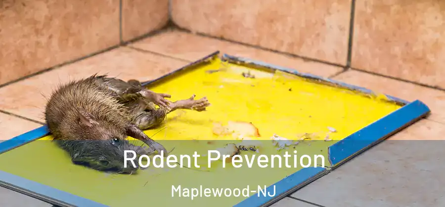 Rodent Prevention Maplewood-NJ