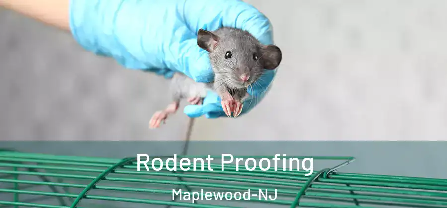  Rodent Proofing Maplewood-NJ