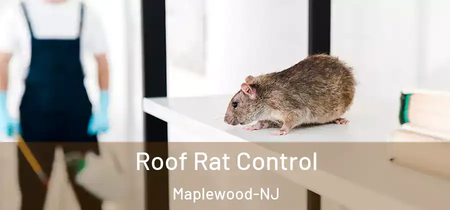  Roof Rat Control Maplewood-NJ
