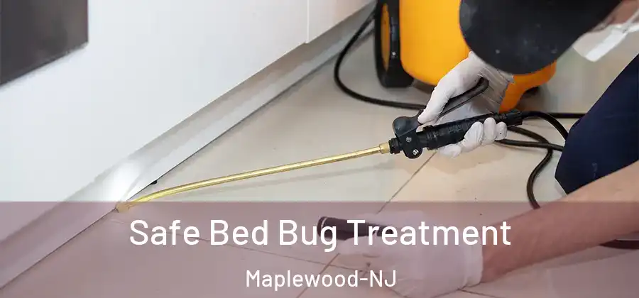 Safe Bed Bug Treatment Maplewood-NJ