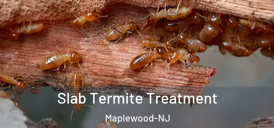 Slab Termite Treatment Maplewood-NJ