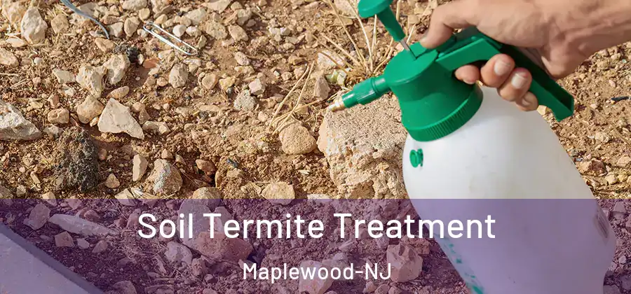  Soil Termite Treatment Maplewood-NJ