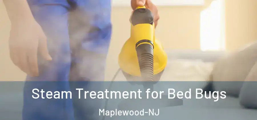  Steam Treatment for Bed Bugs Maplewood-NJ