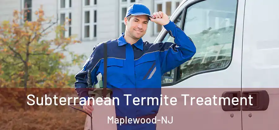 Subterranean Termite Treatment Maplewood-NJ