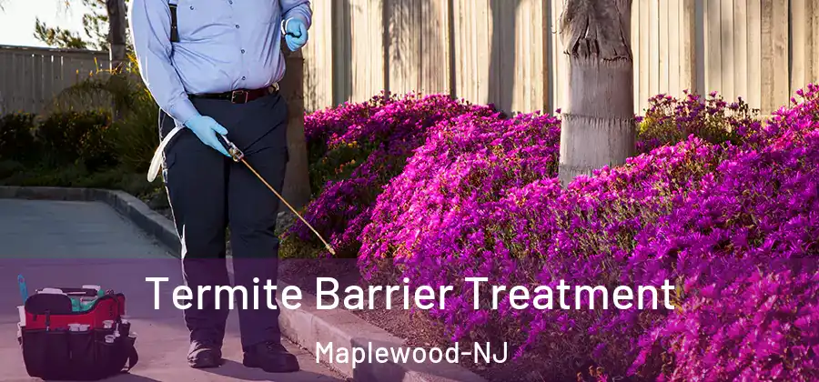 Termite Barrier Treatment Maplewood-NJ