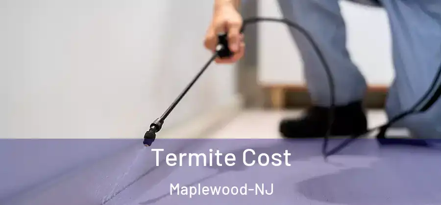  Termite Cost Maplewood-NJ