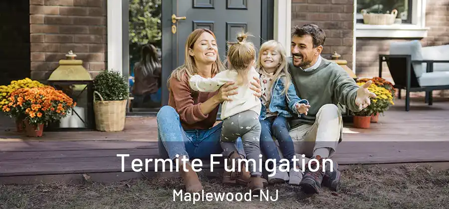  Termite Fumigation Maplewood-NJ