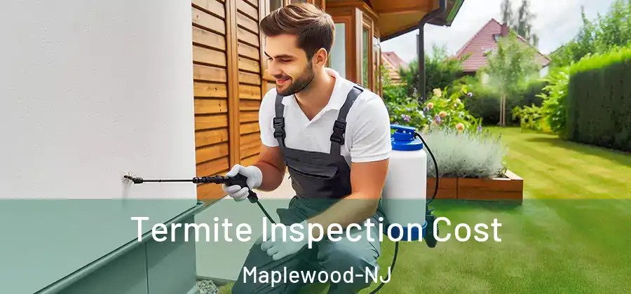 Termite Inspection Cost Maplewood-NJ