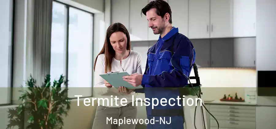  Termite Inspection Maplewood-NJ