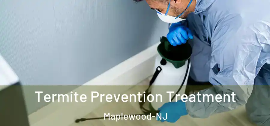 Termite Prevention Treatment Maplewood-NJ