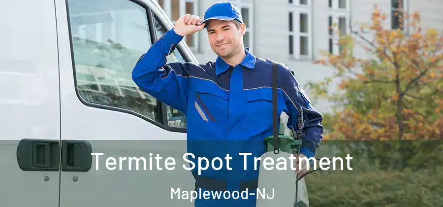 Termite Spot Treatment Maplewood-NJ