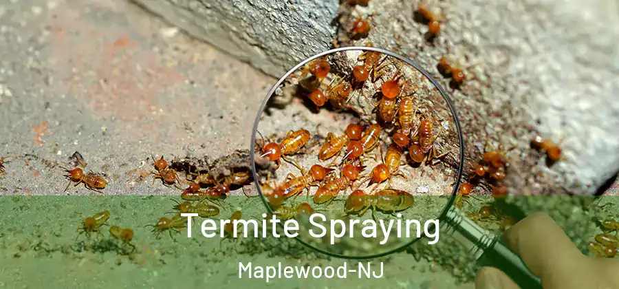 Termite Spraying Maplewood-NJ
