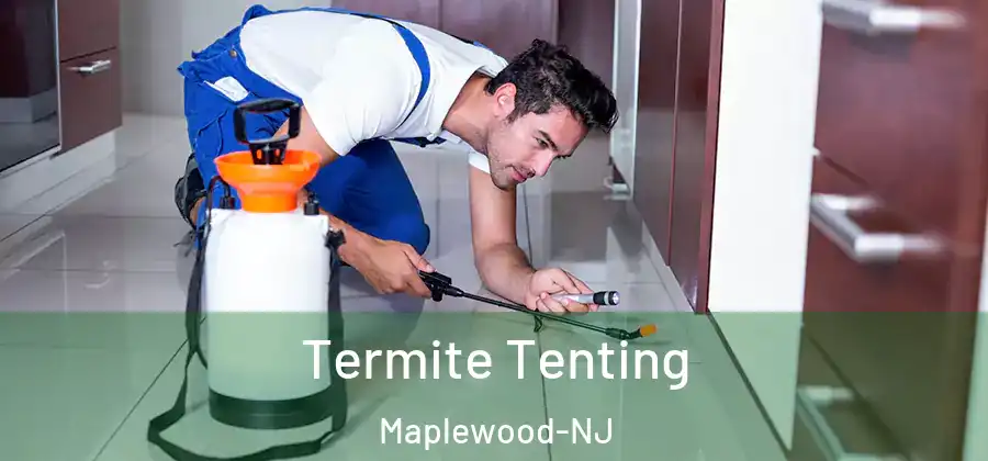  Termite Tenting Maplewood-NJ