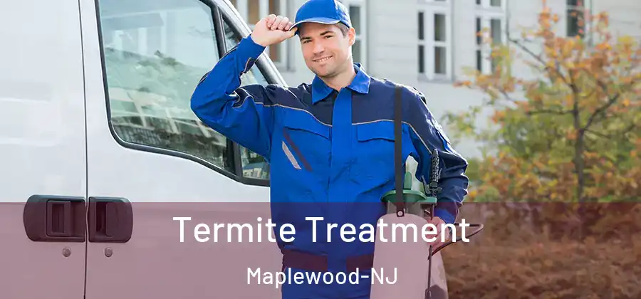 Termite Treatment Maplewood-NJ