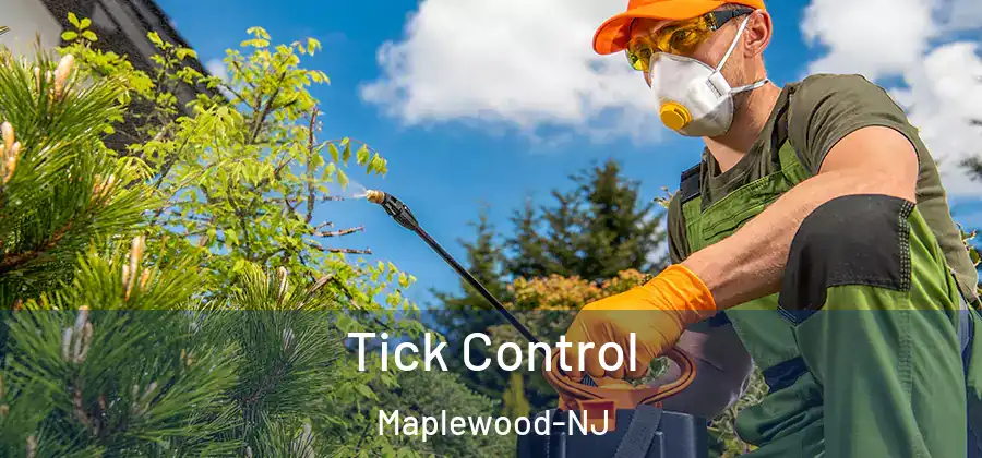  Tick Control Maplewood-NJ