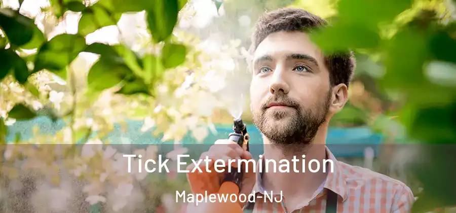  Tick Extermination Maplewood-NJ